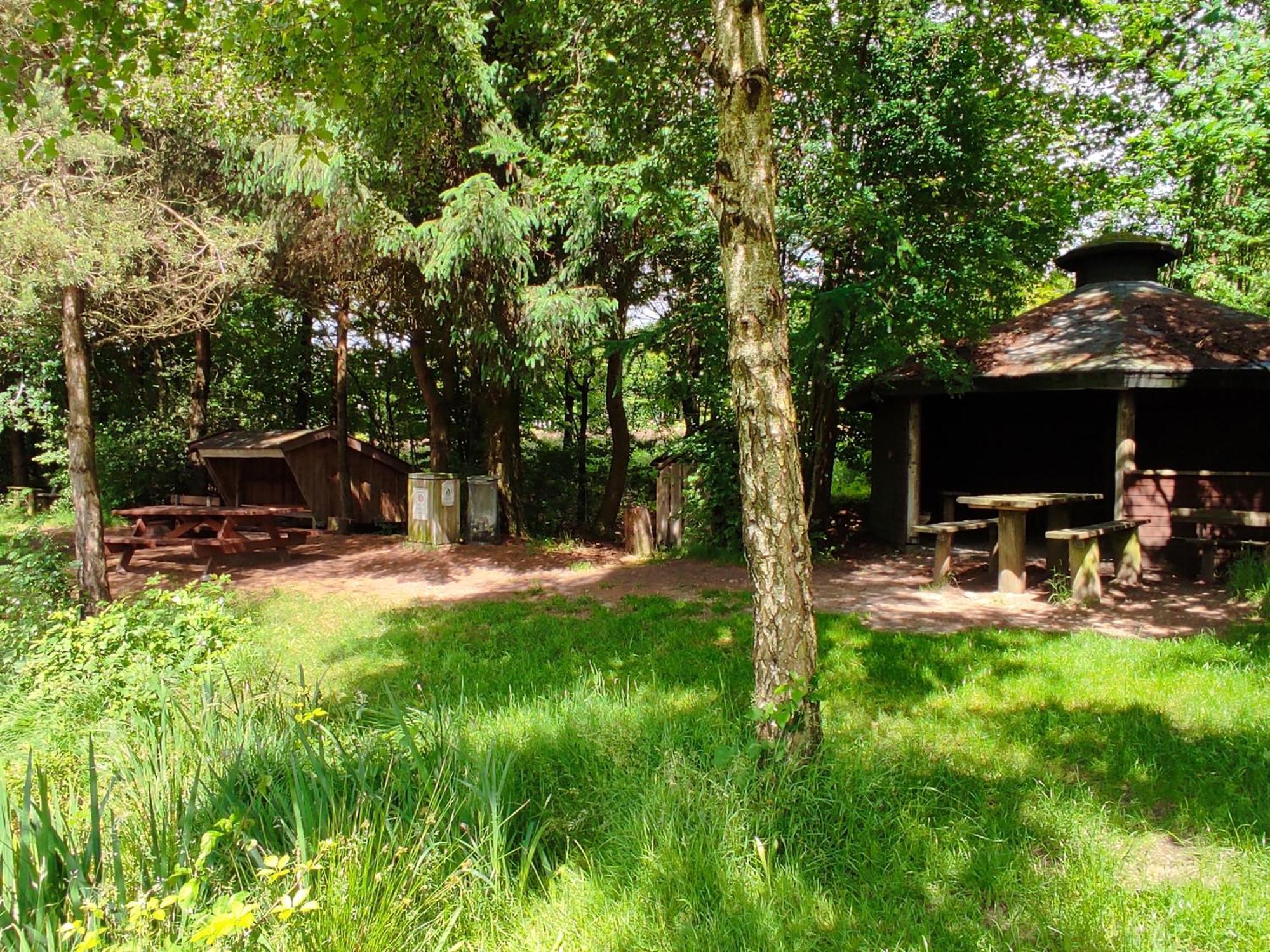 Emily'S Garden Bed and Breakfast Lintrup Exteriör bild