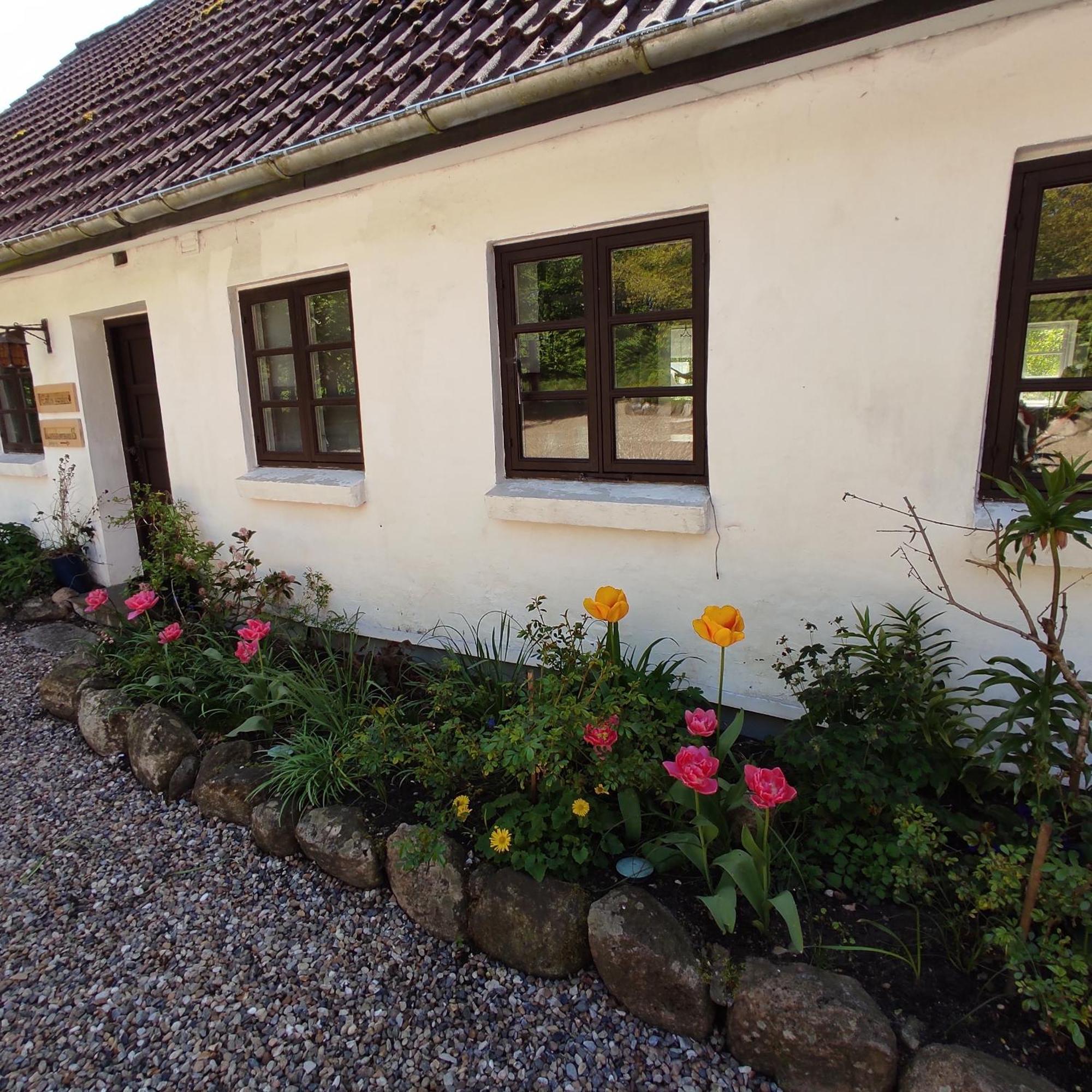 Emily'S Garden Bed and Breakfast Lintrup Exteriör bild